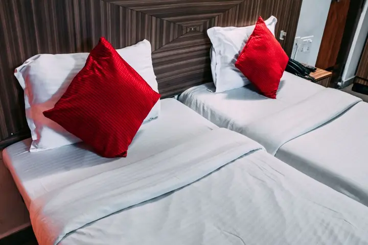 Пудучерри: Hotel Ayushman