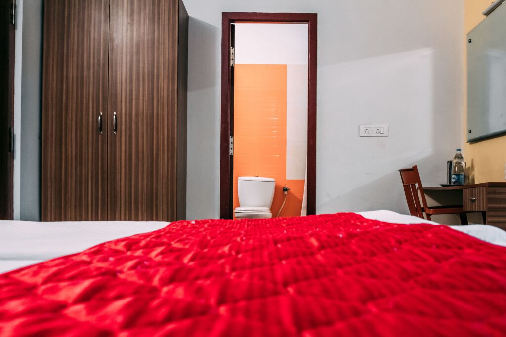 Hotel Ayushman — фото 2