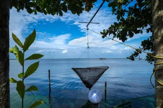 Мухамма: orchid lake view homestay