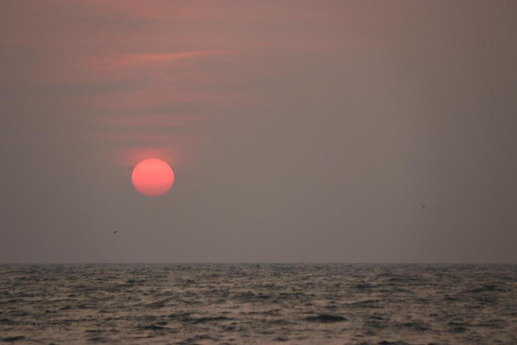 Cherthala: Marari Edens