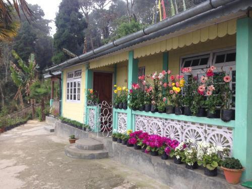 Дарджилинг: Himalayan Homestay