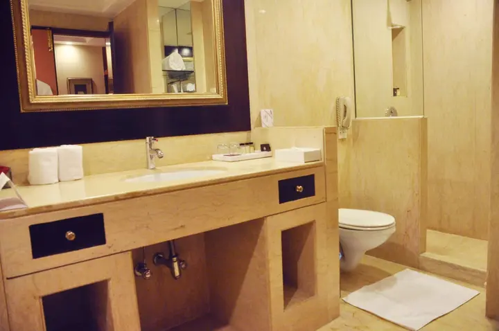 Нью-Дели: The Hans Hotel New Delhi
