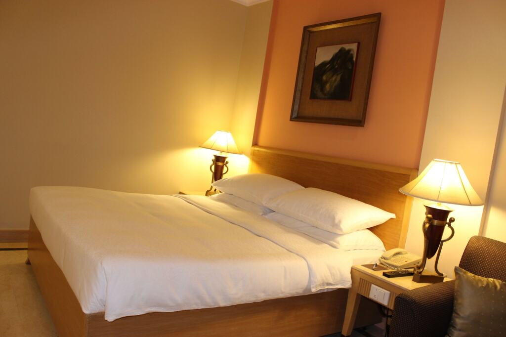 Нью-Дели: The Hans Hotel New Delhi