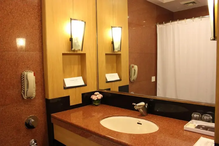 Нью-Дели: The Hans Hotel New Delhi