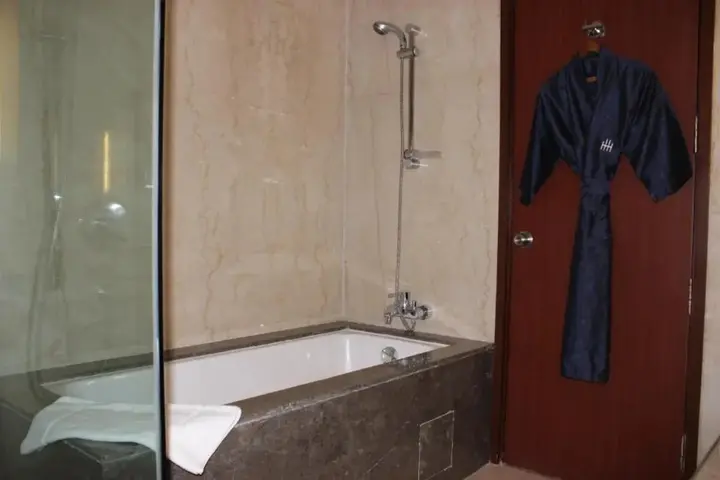 Нью-Дели: The Hans Hotel New Delhi