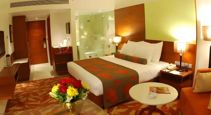 Нагпур: The Pride Hotel Nagpur