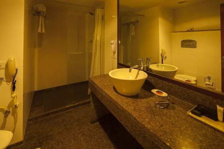 Джайпур: Vesta Maurya Palace