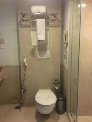 Бангалор: Iris Hotel