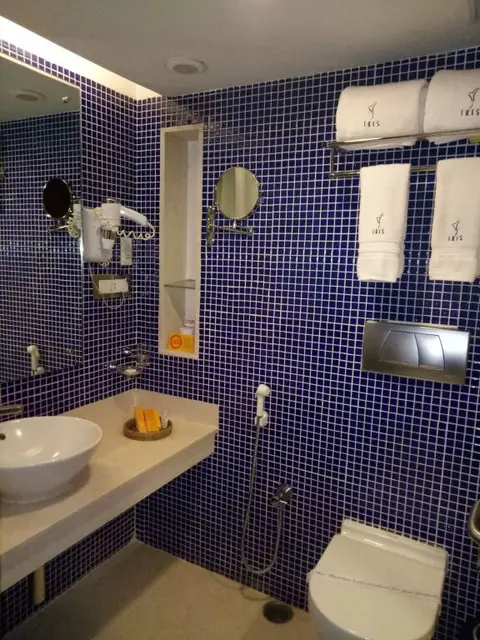 Бангалор: Iris Hotel