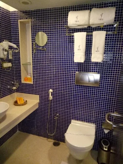 Бангалор: Iris Hotel