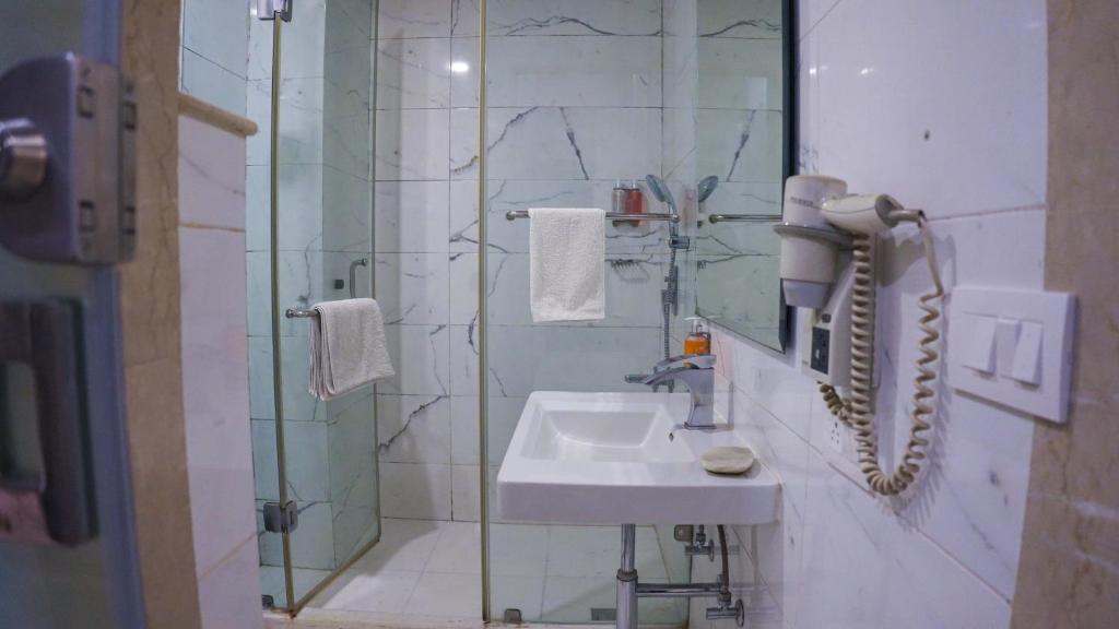 Нью-Дели: Iris Park Hotel