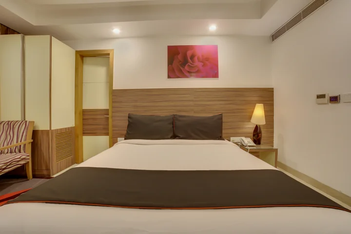 Нью-Дели: Iris Park Hotel