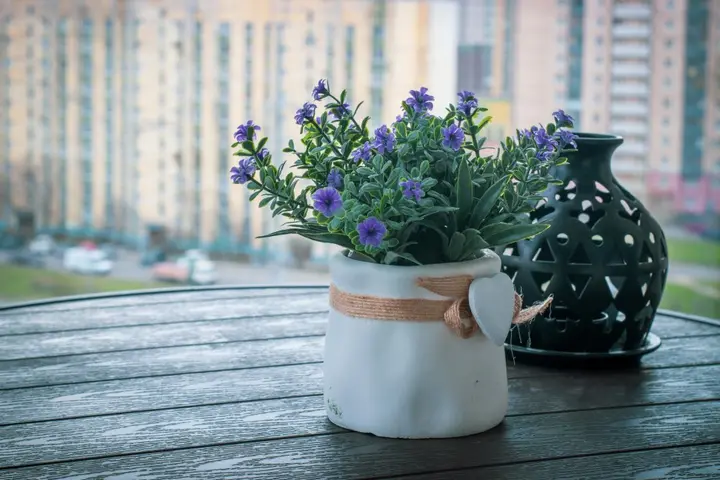 Санкт-Петербург: Апартаменты Студия Natalie Apartments Пулковское шоссе 14с6 №5