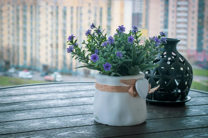 Санкт-Петербург: Апартаменты Студия Natalie Apartments Пулковское шоссе 14с6 №5