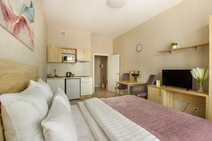 Санкт-Петербург: Апартаменты Студия Natalie Apartments Пулковское шоссе 14с6 №5