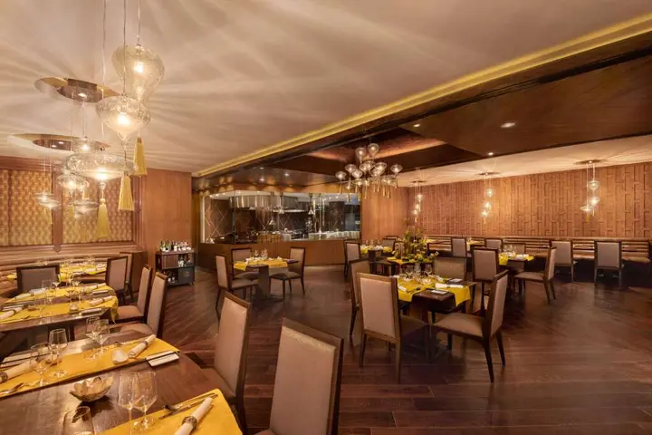 Нью-Дели: Radisson Blu Plaza Delhi Airport