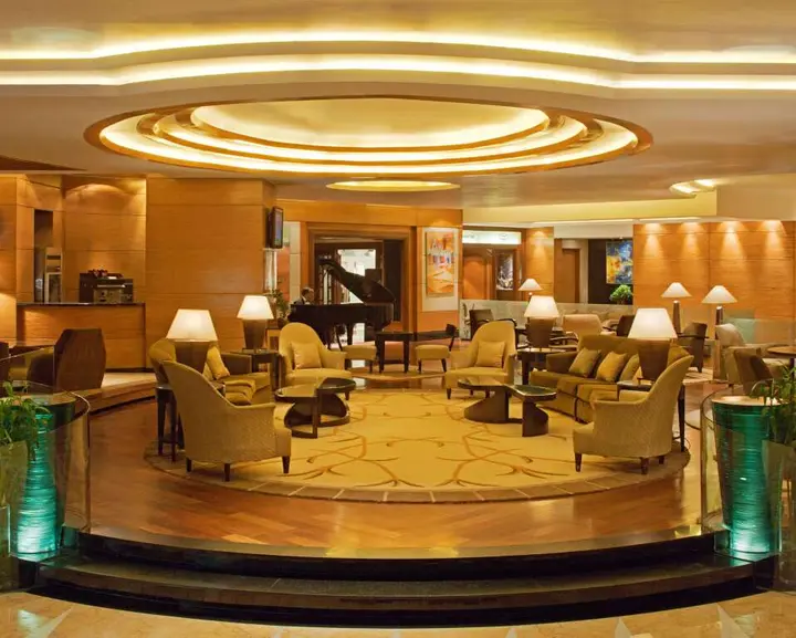Нью-Дели: Radisson Blu Plaza Delhi Airport