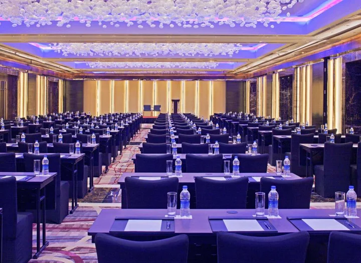 Нью-Дели: Radisson Blu Plaza Delhi Airport