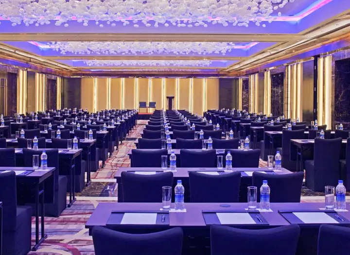 Нью-Дели: Radisson Blu Plaza Delhi Airport