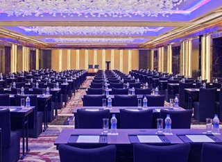 Нью-Дели: Radisson Blu Plaza Delhi Airport