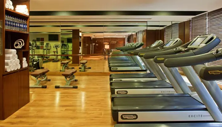 Нью-Дели: Radisson Blu Plaza Delhi Airport