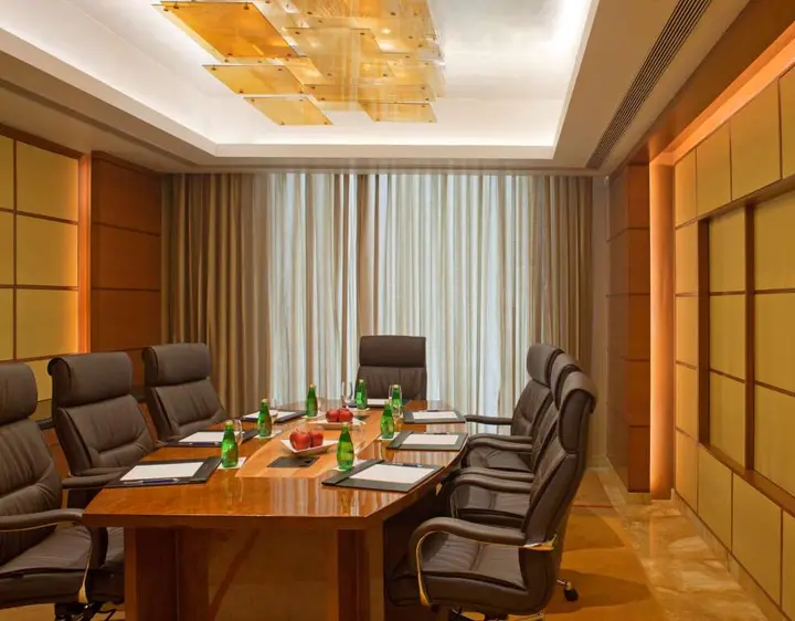 Нью-Дели: Radisson Blu Plaza Delhi Airport