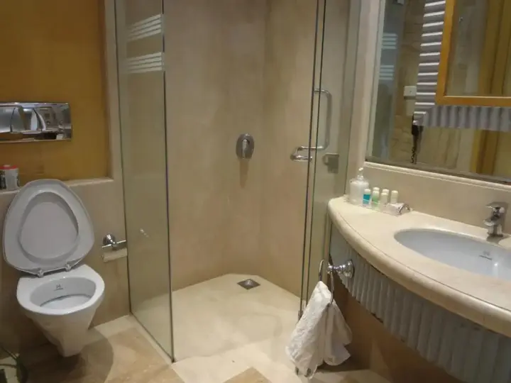 Мумбаи: Ascot Hotel