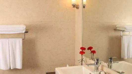 Нью-Дели: Edenpark New Delhi (Qutab Hotel)