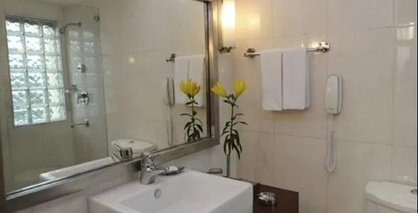 Нью-Дели: Edenpark New Delhi (Qutab Hotel)