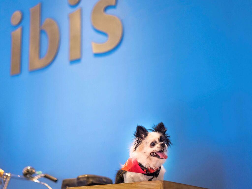 Пуна: ibis Pune Viman Nagar Hotel