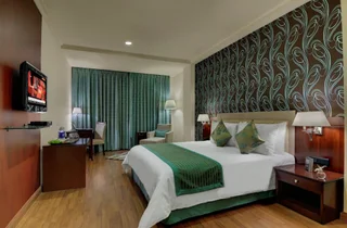Хидерабад: Royalton Hyderabad
