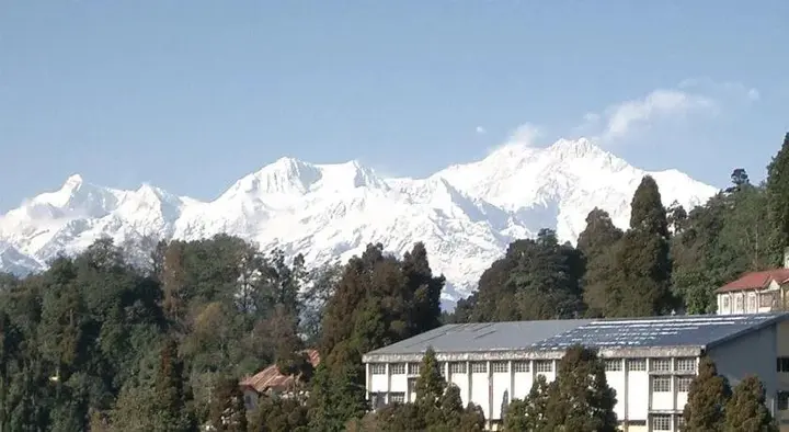 Дарджилинг: Hotel Mohit