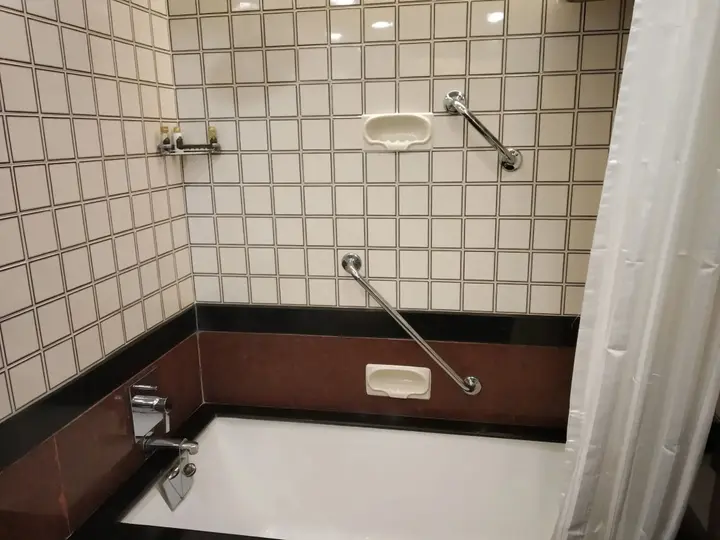 Колката: Taj Bengal