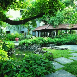 Коччи: The Fern Kochi, Series by Marriott