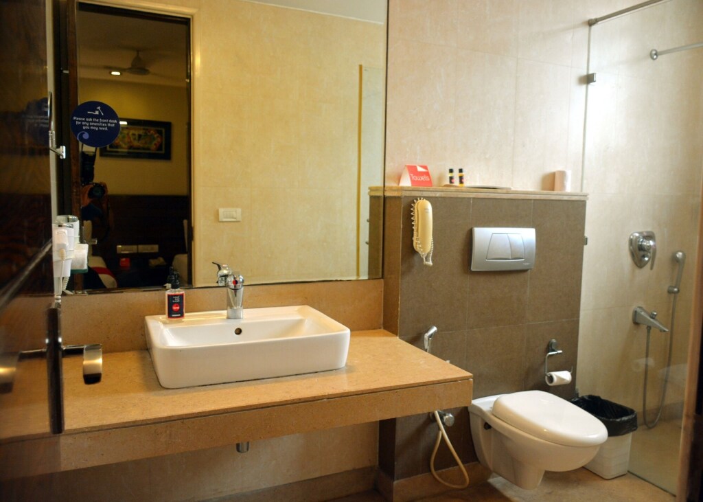 Нью-Дели: Hotel Blue Stone - Nehru Place
