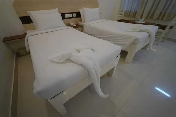 Маниячи: Hotel Palmyra Grand Inn