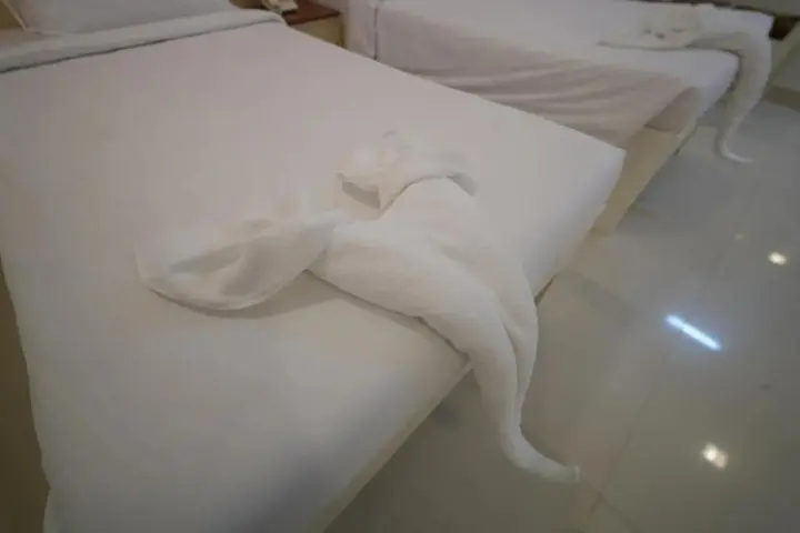 Маниячи: Hotel Palmyra Grand Inn