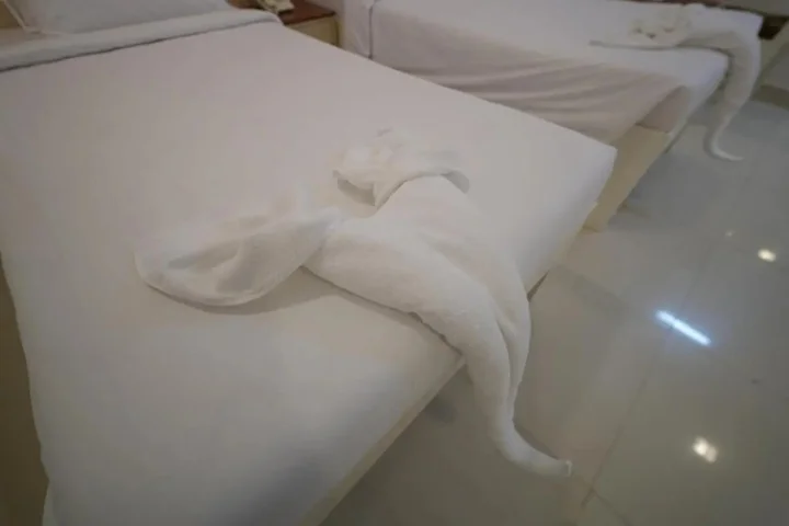 Маниячи: Hotel Palmyra Grand Inn