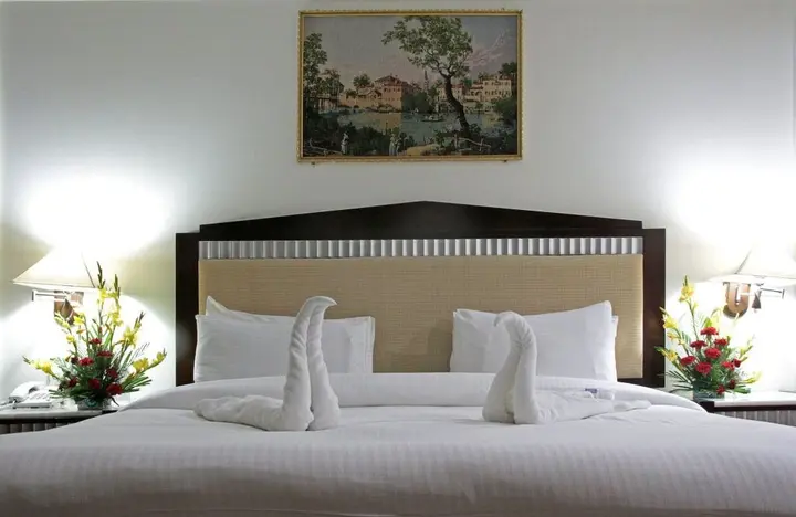 Шринагар: The Residency Hotel