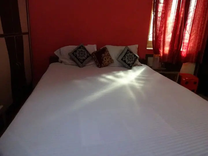Гайя: Hotel Viraat Inn