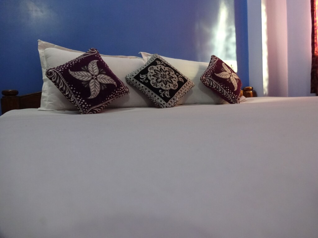 Гайя: Hotel Viraat Inn