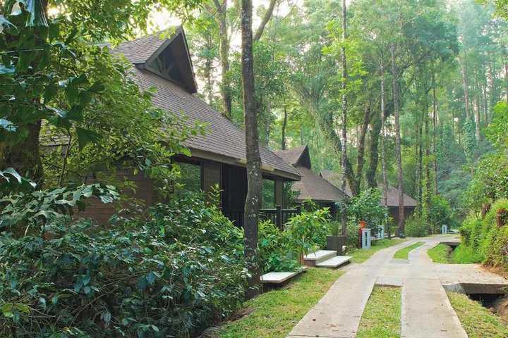 Какабе: The Tamara Coorg