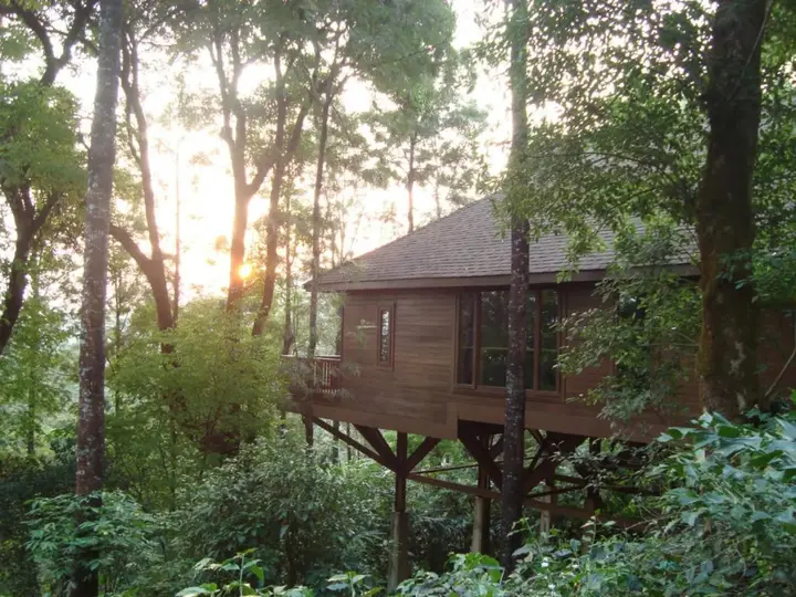 Какабе: The Tamara Coorg