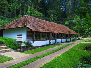 Какабе: The Tamara Coorg