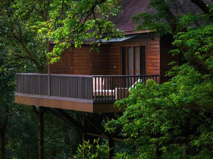 Какабе: The Tamara Coorg
