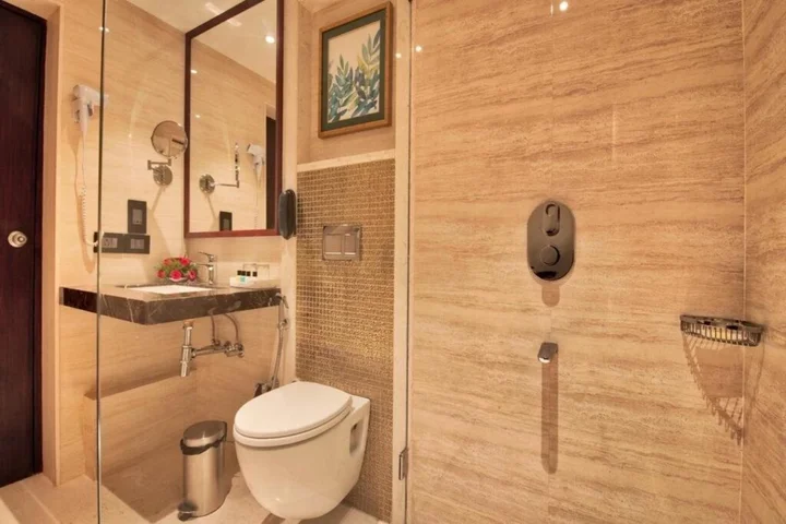 Нью-Дели: Tulip Inn West Delhi