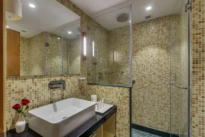 Нью-Дели: Tulip Inn West Delhi