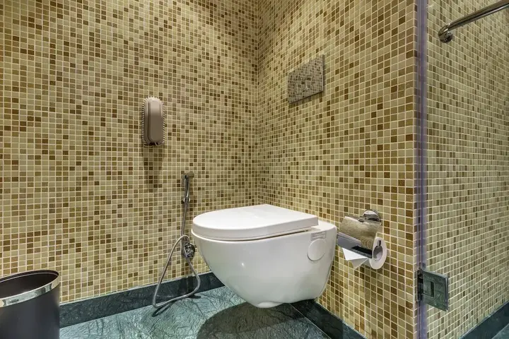 Нью-Дели: Tulip Inn West Delhi