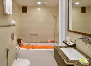 Шринагар: Golden Tulip