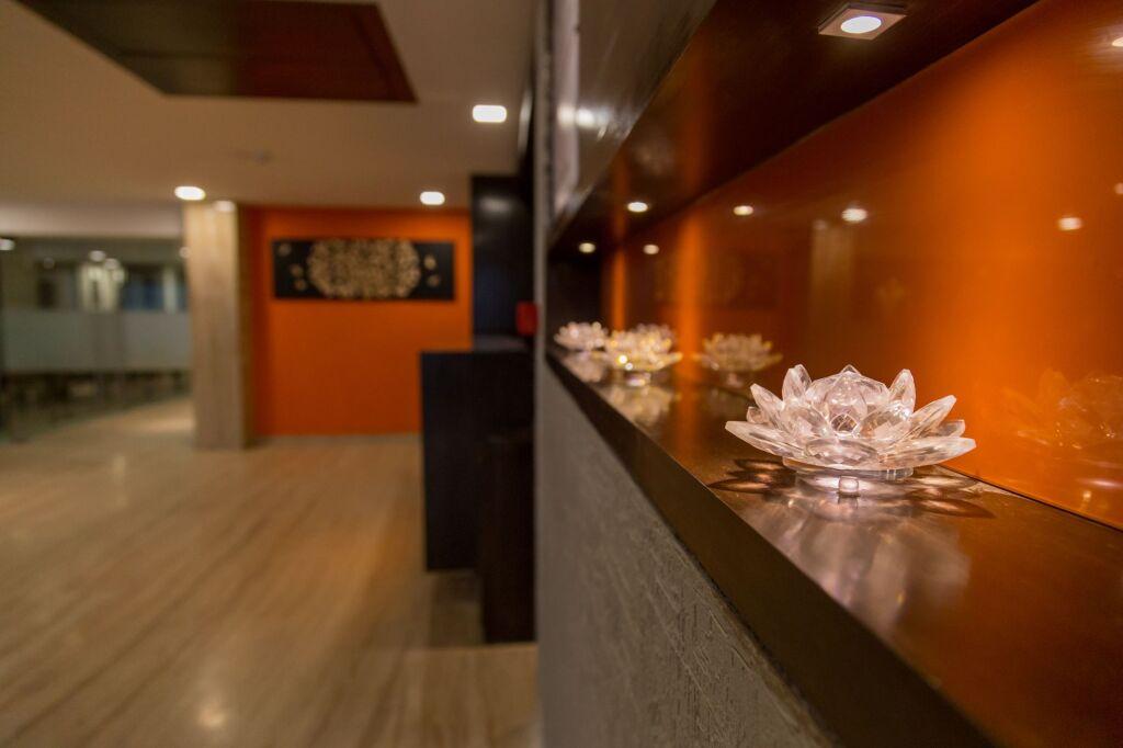 Ахмедабад: Ginger Ahmedabad, Satellite